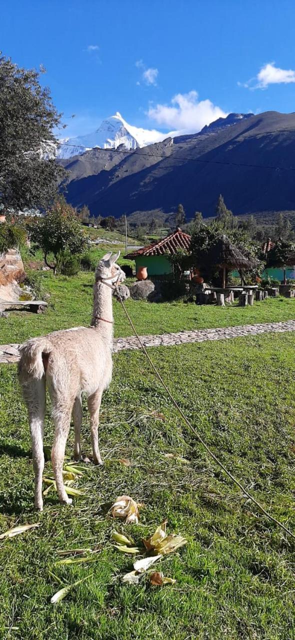 Tullpa Rumy Yungay Luaran gambar